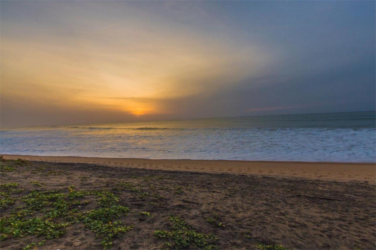 Nikara Nature Resort Arugam Bay Exterior photo